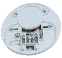 EV-AVADAPT
